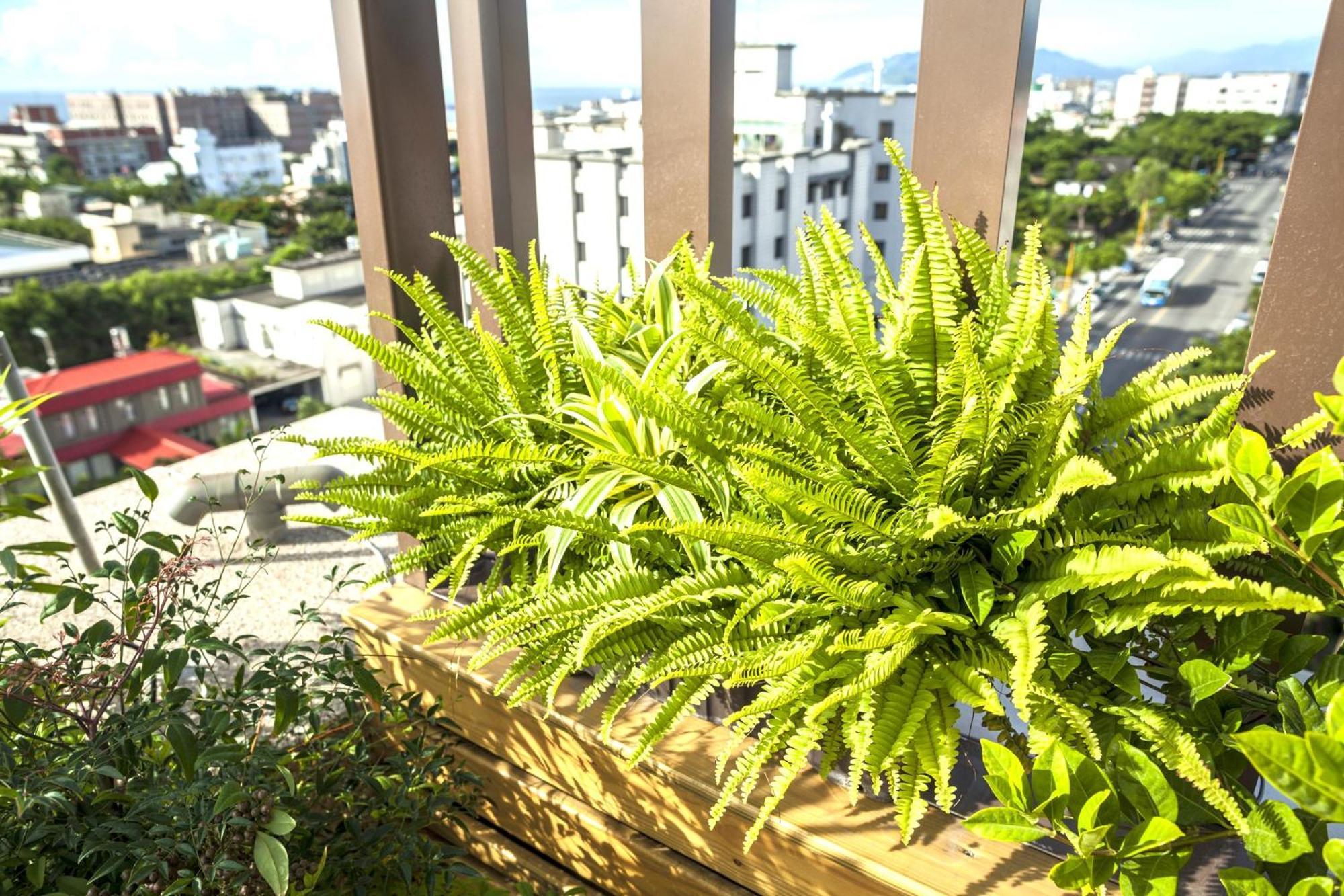 リシュアン ホテル 花蓮市 エクステリア 写真